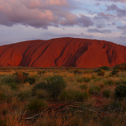 Australia Portfolio