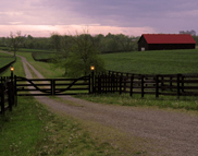 Bourbon Trail