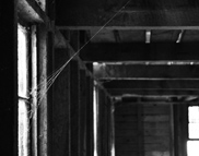 Bourbon Trail