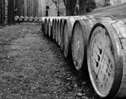 Bourbon Trail