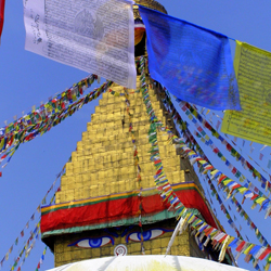 Nepal Portfolio