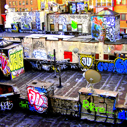 NYC Portfolio